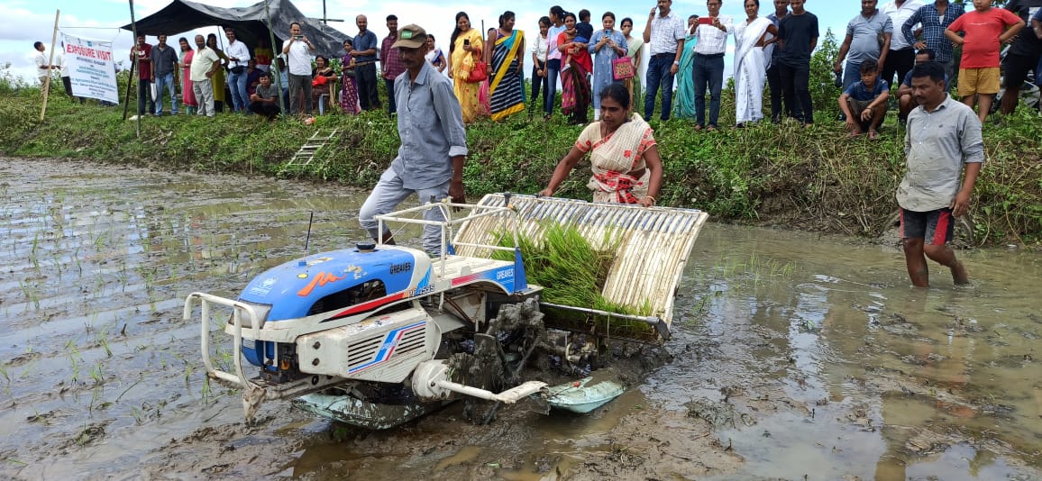 MECHANICAL TRANSPLANTING OF PADDY AT DIKHOW VALLEY FPC, NAZIRA